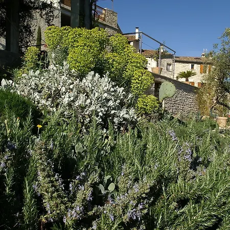 Bed & Breakfast La Maison Du Passage - - Premium, Spa, Piscine Et Restaurant
