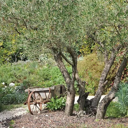 La Maison Du Passage - - Premium, Spa, Piscine Et Restaurant 4* Martignargues